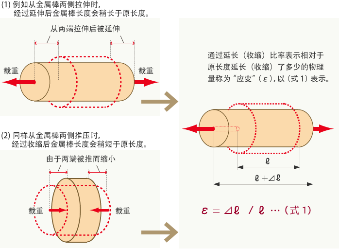 何谓应变？