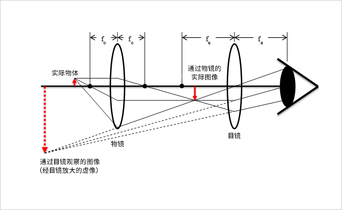 显微镜原理