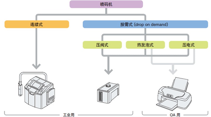 基本分类