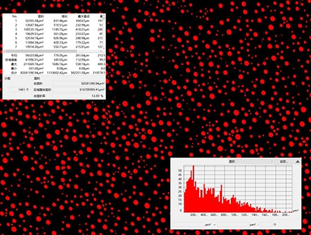 基于图像二值化的颗粒分析与柱状图显示（400×）